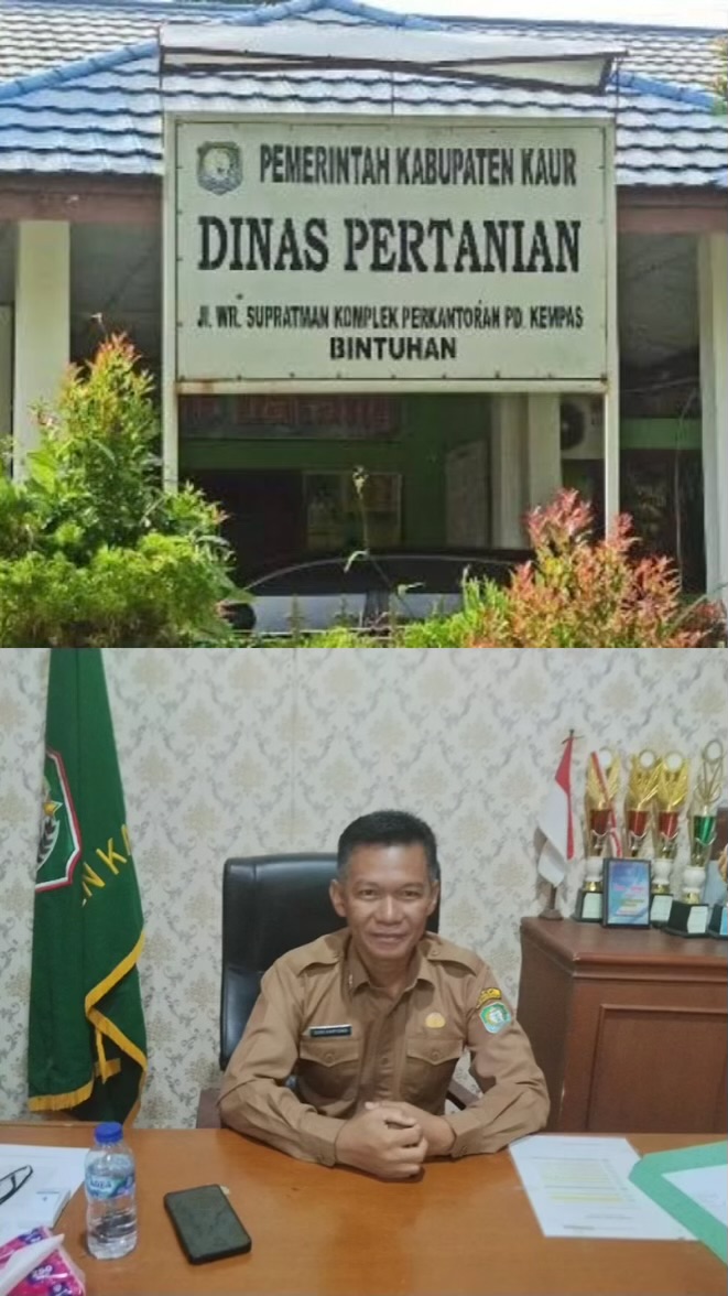 101 Kios Pupuk Subsidi di Kaur Disorot, Kadis Pertanian Diduga Tarik Setoran hingga Rp1 Juta
